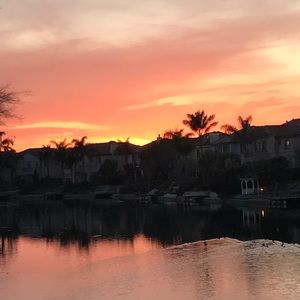 Meet your Posher, Evelyn